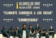 LAS VIDAS DE SING SING (CINE DE ARTE)