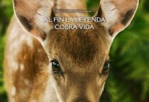 🍿BAMBI UNA AVENTURA EN EL BOSQUE