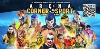 🥊HOMENAJE A BLUE DEMON JR.